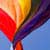 Human Rights and Transgender Issues